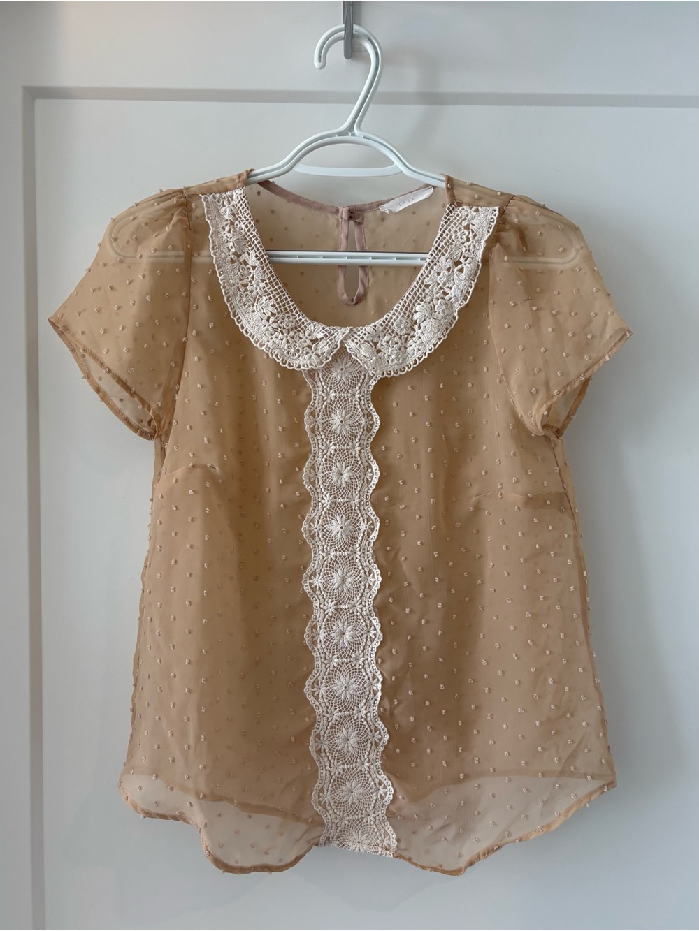 Lush Sheer Swiss Dot Blouse with Lace Collar in Cream